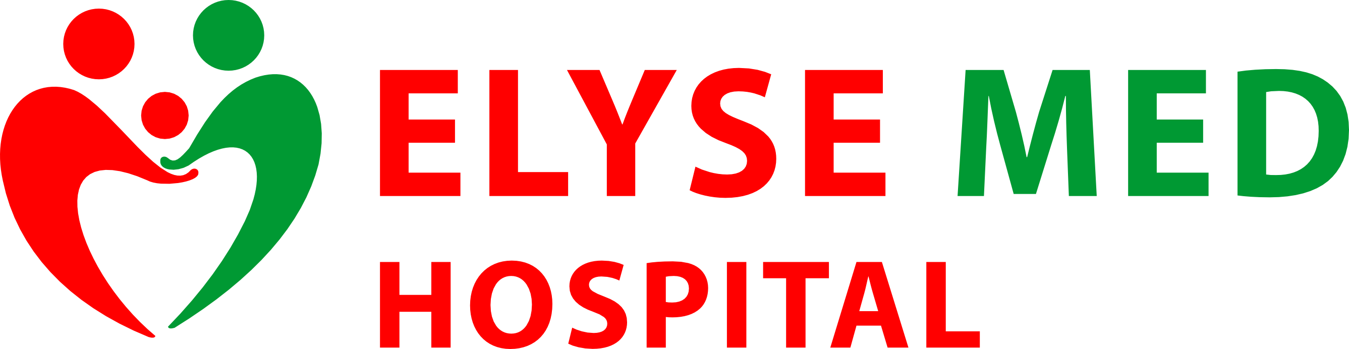 Elyse Med Hospital Logo