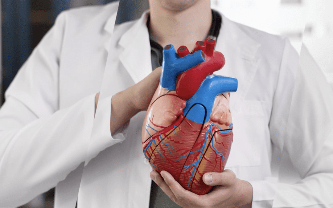 A ElyseMed Hospital, nous offrons une prise en charge complète des pathologies cardiovasculaires grâce à notre équipe médicale experte et à des équipements de pointe