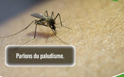 Le paludisme