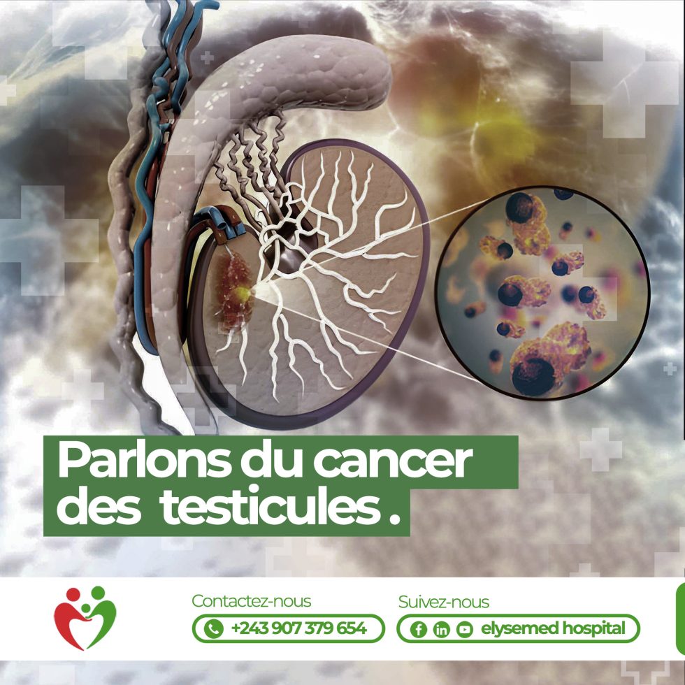 Le Cancer Des Testicules : Parlons-en Pour Mieux Le Prévenir - Elysemed
